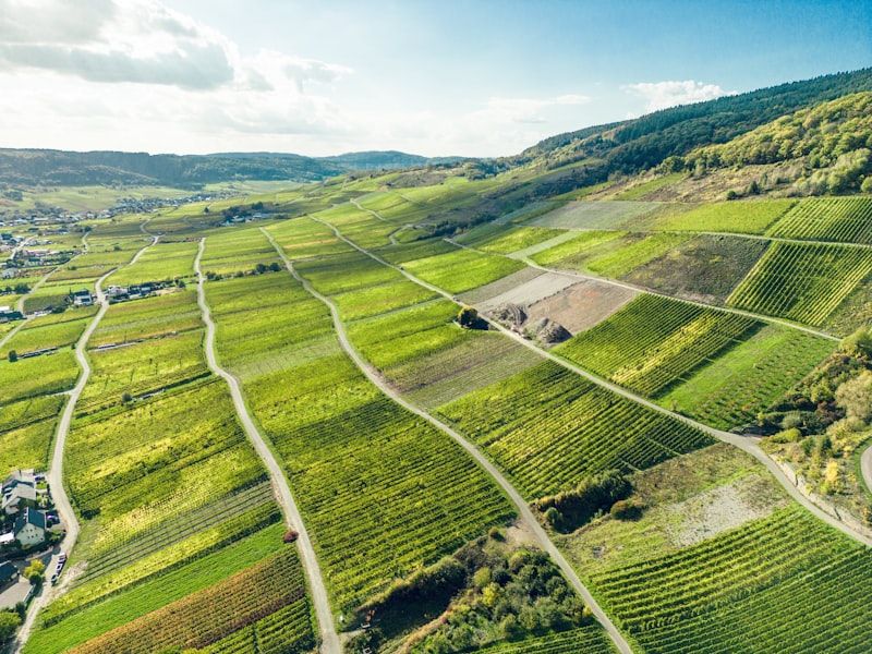 Mosel-Steillagen — Weinberge des Weingut Sonnenstein